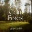 Calm Forest